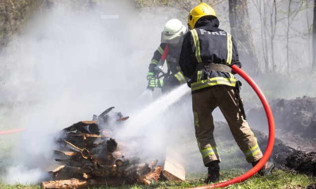 У Києві та області до 12 червня існуватиме надзвичайний рівень пожежної небезпеки