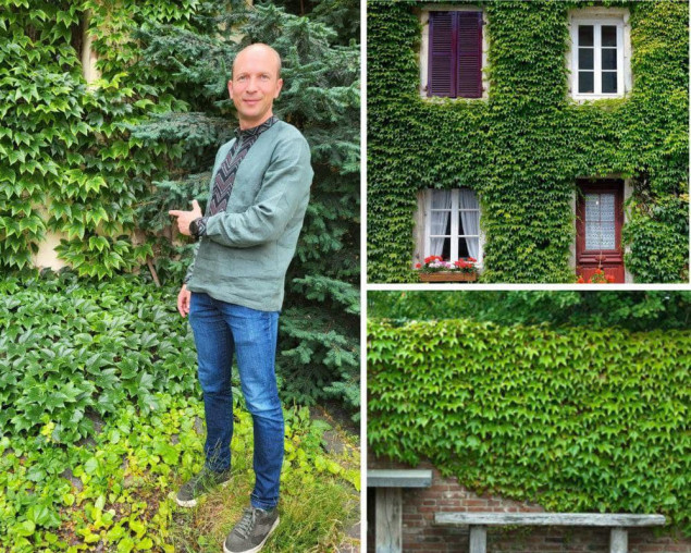 В КМДА вирішили зайнятися вертикальним озелененням міста