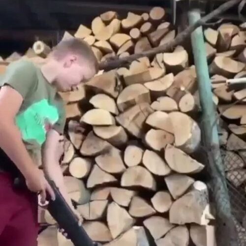 12-річний школяр із Закарпаття з рушниці стріляв у домашнього кота