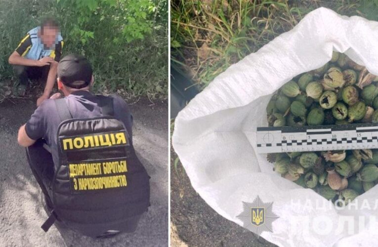 41-річний мешканець Хмельниччини вкрав з поля 9 кг снодійного маку