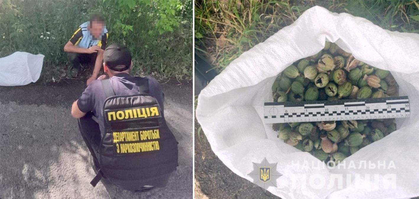 41 richnij meshkanec hmelnichchini vkrav z polja 9 kg snodijnogo maku 59df8be