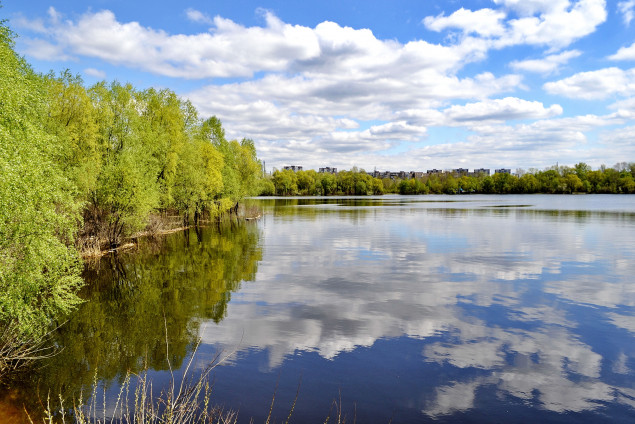 КП “Плесо” взяло на баланс затоки Десенка та Вовкувата