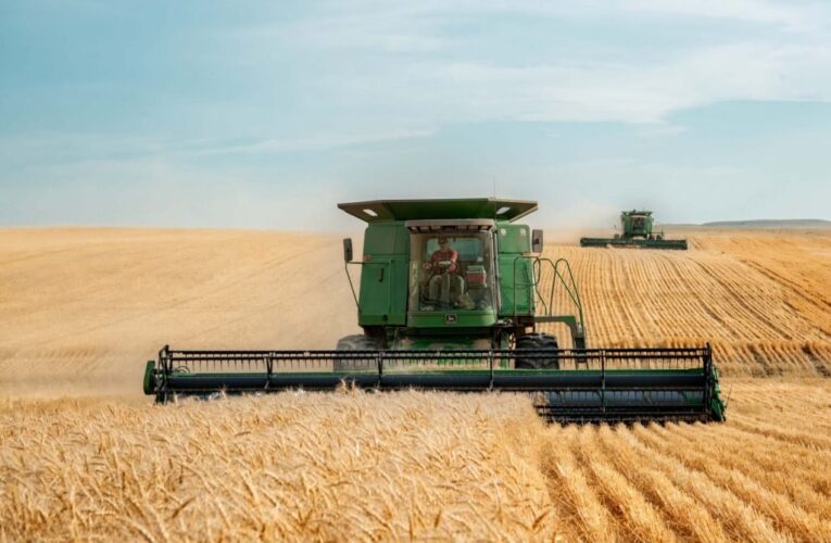 США виділять Всесвітній продовольчій програмі $68 мільйонів на закупівлю українського зерна