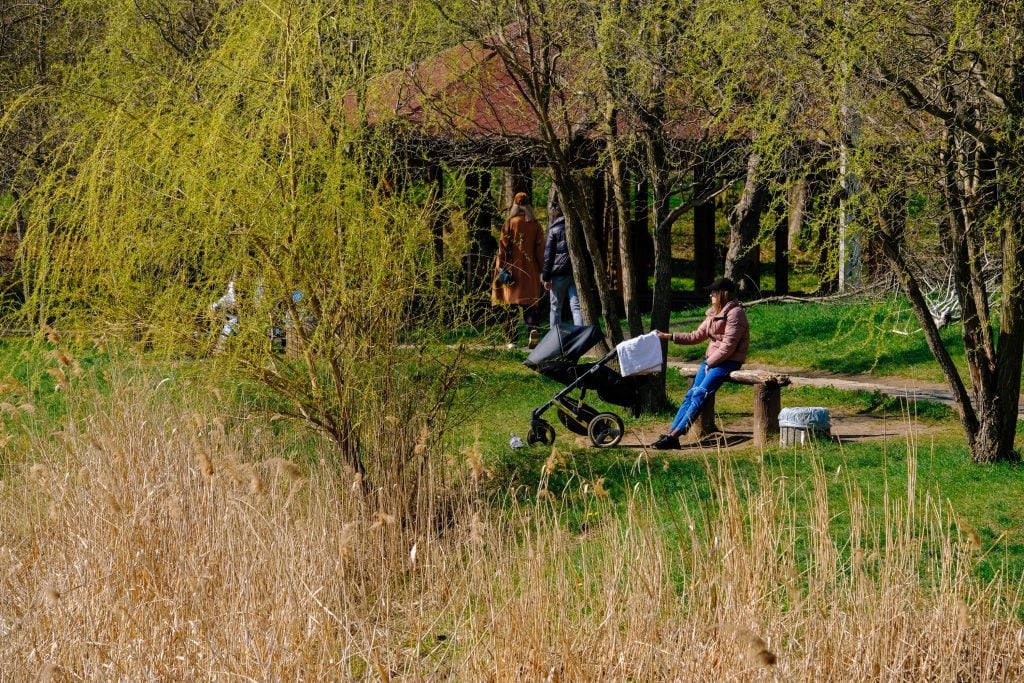 u chernivcjah obyednali zhovtnevij i park shevchenka ta priznachili ochilnicju shho ce zminit 4b90e8f