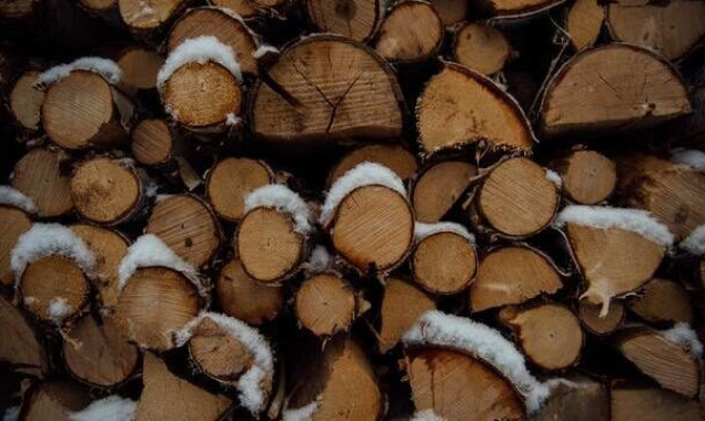 Для шкіл Рокитного закуплять дрова