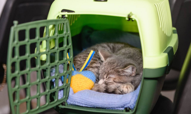 Київ розгорнув роботу понад 400 пунктів обігріву