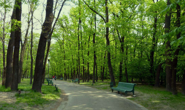 Прокуратурою повернула ділянку площею 2,7 гектари на Столичному шосе до власності громади