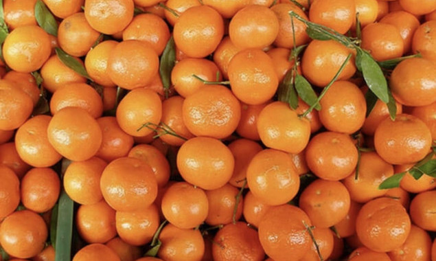 У різдвяну неділю, 25 грудня, ярмарки пройдуть в п’яти районах столиці (адреси)