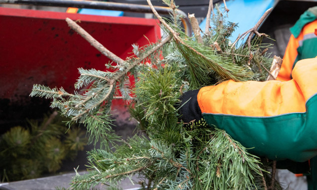 У столиці до кінця січня працюватимуть пункти прийому ялинок для екоутилізації (адреси)