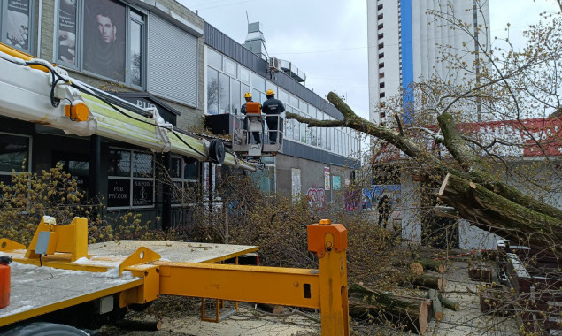 Столичні комунальники продовжують прибирати повалені через негоду дерева та гілки