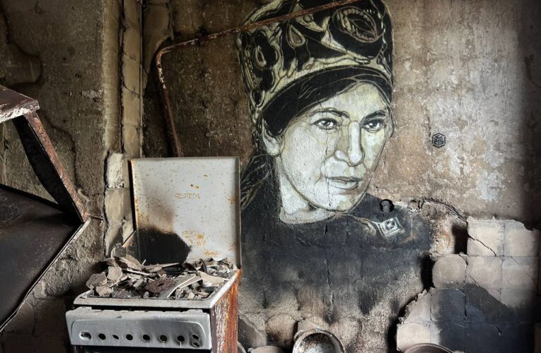 Французький художник намалював графіті на стінах зруйнованих будинків у Бородянці