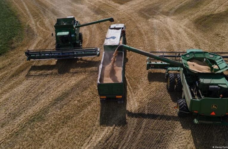 Польща призупинила імпорт українського зерна до липня