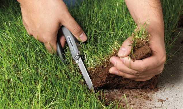 У Козинській громаді державі мають повернути землі вартістю понад 29 млн гривень