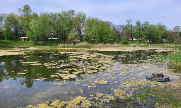 Цього року у Києві планують розчистити та провести благоустрій озера Синє, – КМДА