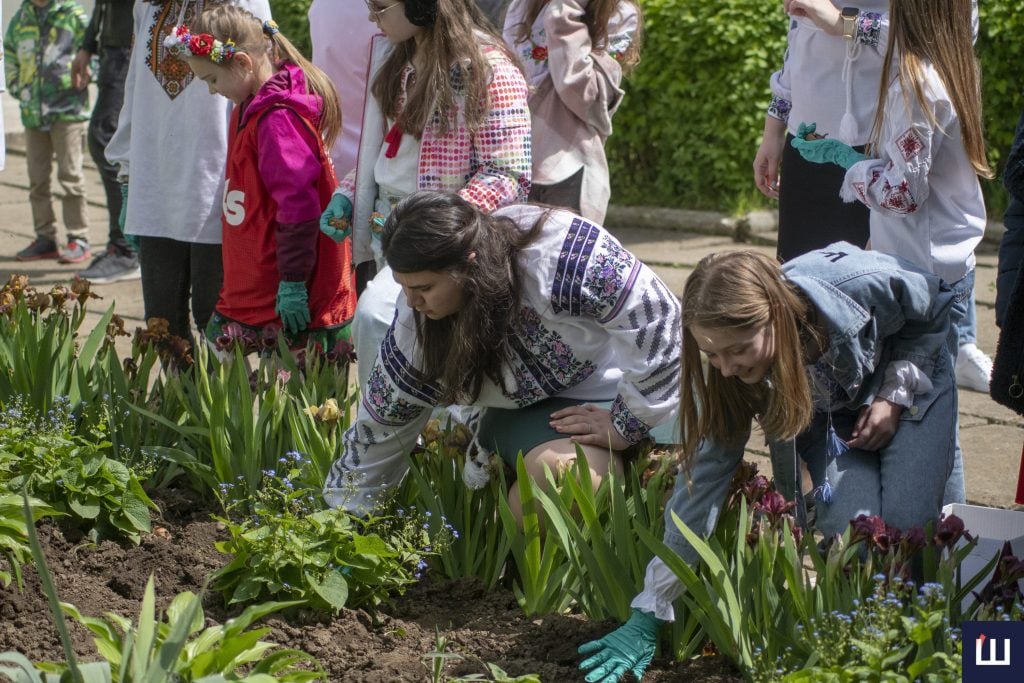 desjat tisjach cibulin tjulpaniv dlja kozhnoyi shkoli u chernivcjah startuvav drugij etap proyektu flowers4school fde8b2d