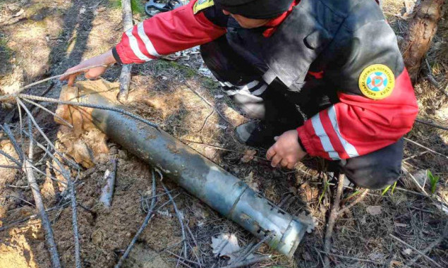 Киянам нагадали про заборону відвідування лісів під час воєнного стану, – КМДА