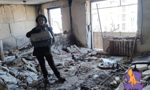 Київська команда порятунку евакуювала з прифронтових зон чотири сотні тварин