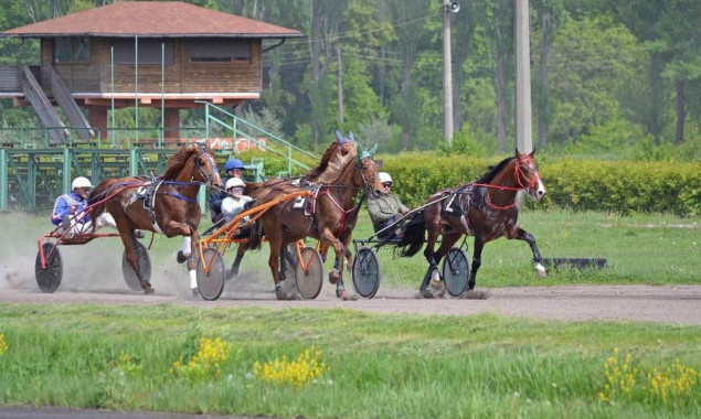 На цих вихідних на Київському іподромі відбудеться відкриття бігового сезону