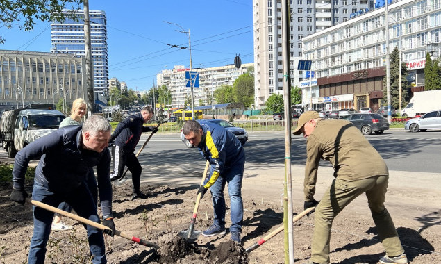 На місці демонтованих МАФів по вулиці Голосіївської столичні комунальники висадили дерева й кущі