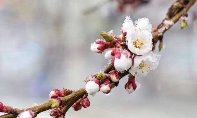 Синоптики попереджають про заморозки на Київщині та у столиці