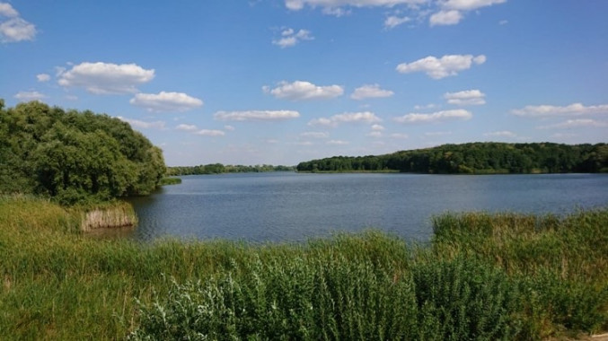 Сквирська міська рада запланували розчистку русла річки Сквирка