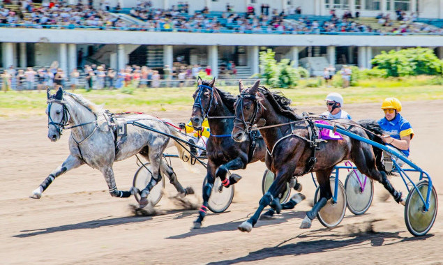 У неділю, 14 травня на Київському іподромі відбудуться заїзди рисистих порід коней