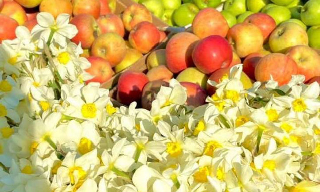 У суботу, 6 травня, ярмарки пройдуть в дев’яти районах Києва (адреси)