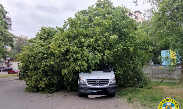 Повалені дерева та пошкоджені автівки: у Києві рятувальники ліквідовують наслідки грози (фото)