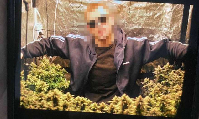 У Києві двоє чоловіків налагодили вирощування конопель в орендованій квартирі (фото, відео)