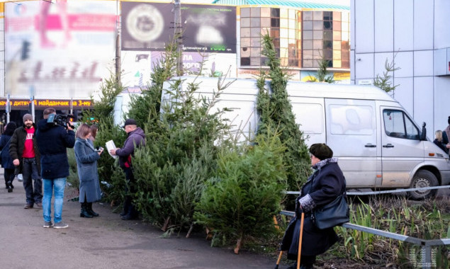 У столиці посилюють охорону хвойних насаджень напередодні Нового року