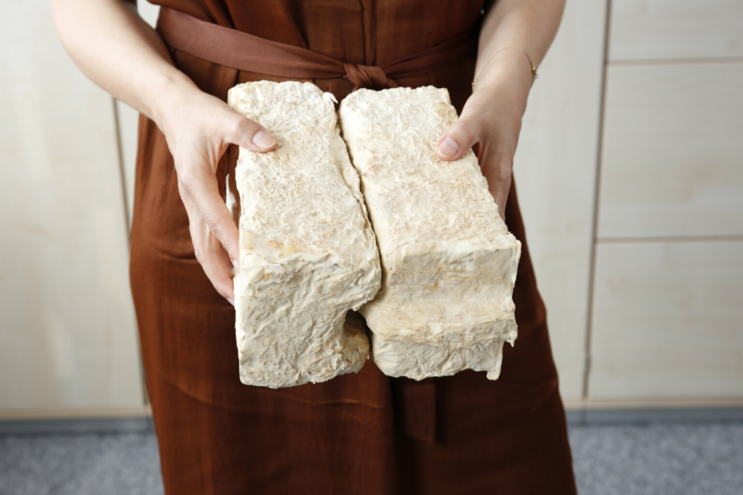 avstrijski naukovci vivchajut mozhlivist stvorennja mebliv iz gribiv e886c32