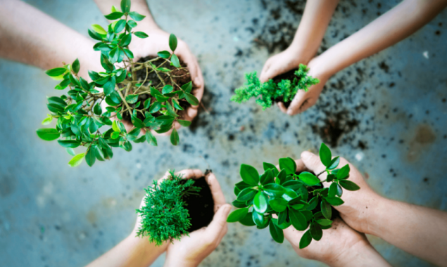 Лекторій Павлівського скверу запрошує на обмін рослинами з донатами на &ldquo;Мавіки&rdquo; для 241 ОБр ТрО