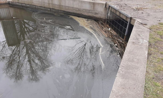 На озері Богатирському було виявлено перевищення норми нафтопродуктів у 3,6 рази, – “Плесо”