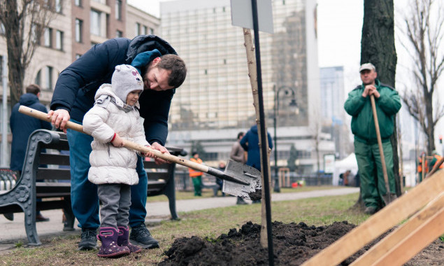 На столичному бульварі Тараса Шевченка висадили 30 молодих тополь