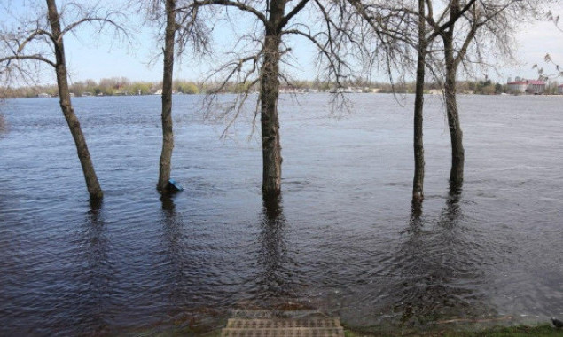 Рівень Дніпра в межах Києва за тиждень піднявся на 60 см, – КМВА