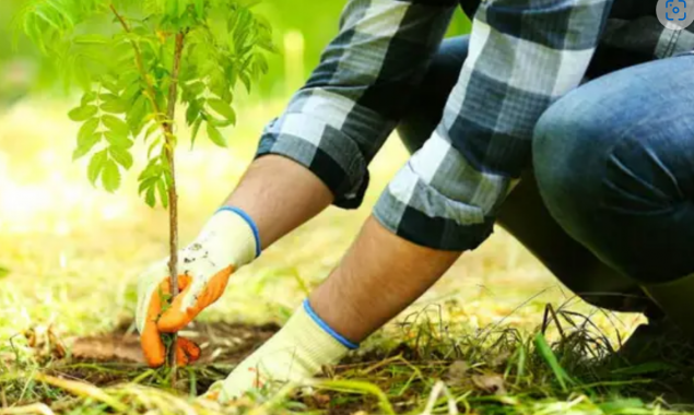 У Яготинській громаді оголосили двомісячник благоустрою