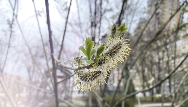 В останні вихідні березня буде тепло та сонячно, вдень до +24°