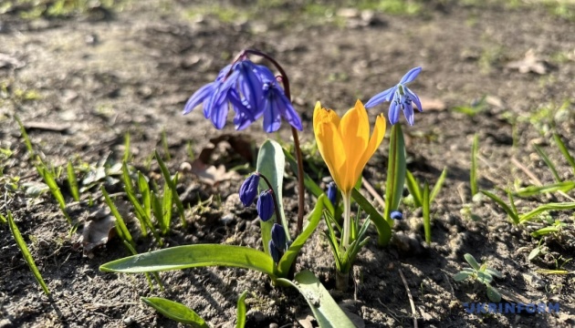 В Україні хмарно, повітря прогріється до 13°