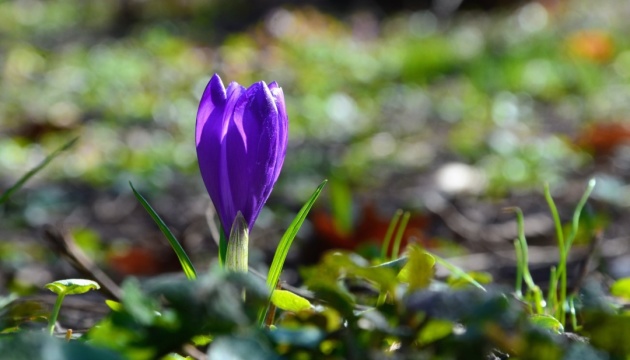 Завтра в Україні збережеться тепла і суха погода