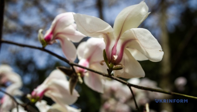 На Рівненщині третій день поспіль фіксують температурні рекорди