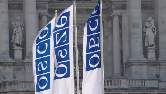 Путін хоче занурити Україну в темряву - Штати в ОБСЄ