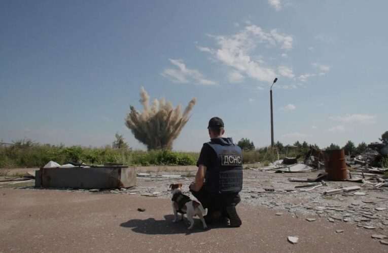 Рекорд зборів для документального кіно: фільм Птушкіна зібрав 2,3 мільйона гривень за перший вікенд