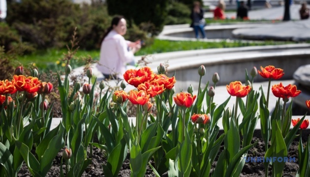 Сьогодні в Україні дощитиме лише у південно-східних областях, вдень до +20°