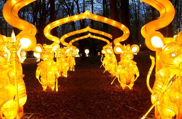 Світ ельфів та чарівних драконів: у Чернівцях відкрився парк світлових фігур