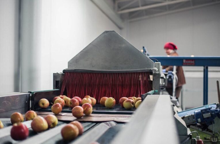 У садах працюють жінки, а керувати технікою немає кому: як на Буковині цьогоріч починають весняно-польовий сезон