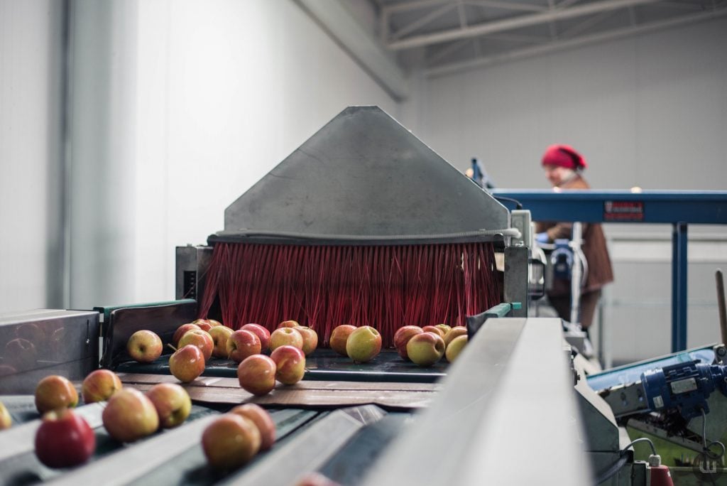 У садах працюють жінки, а керувати технікою немає кому: як на Буковині цьогоріч починають весняно-польовий сезон 11 1