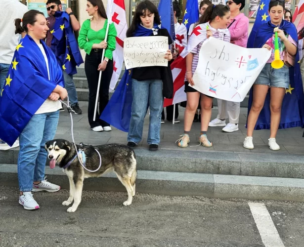 u troh mistah gruziyi protestuvali cherez zakonoproyekt pro inoagentiv c2dc392