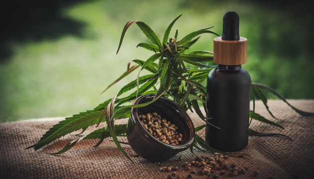 У Європі викрили шахрайську схему щодо медичного канабісу на €645 млн