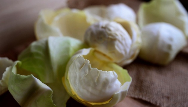 В Україні подешевшала торішня капуста - EastFruit