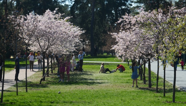 В Україні сьогодні без опадів, вдень до 27°
